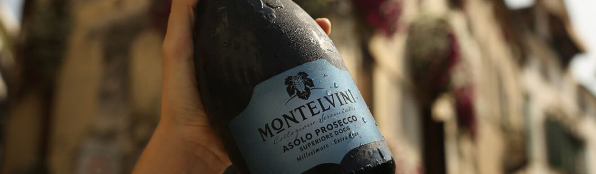 Ontdek Montelvini