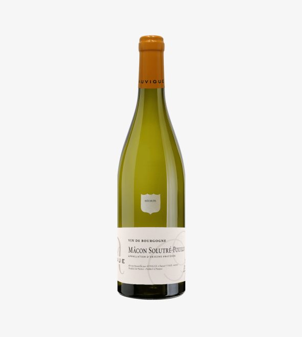 Auvigue Mâcon Solutré-Pouilly 