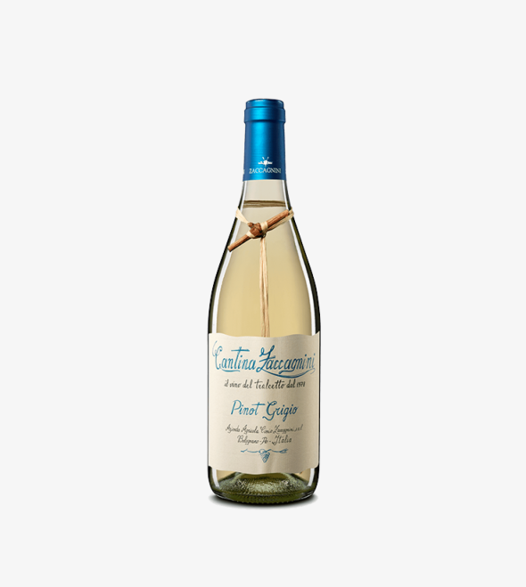 Cantina Zaccagnini Pinot Grigio Terre di Chieti
