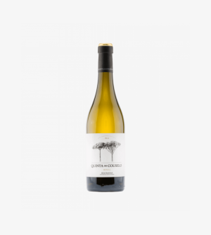 Quinta Couselo Rias Baixas Rosal Magnum