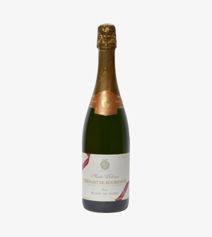 André Delorme Crémant de Bgne Blanc de Noirs