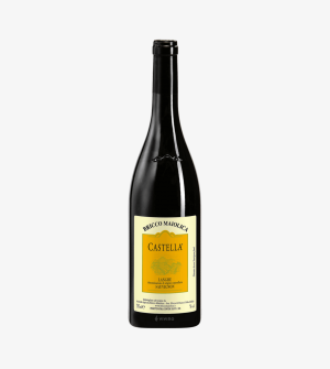 Bricco Maiolica Castella Langhe Sauvignon Demi