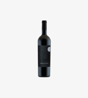 Famiglia Olivini Notte a San Martino